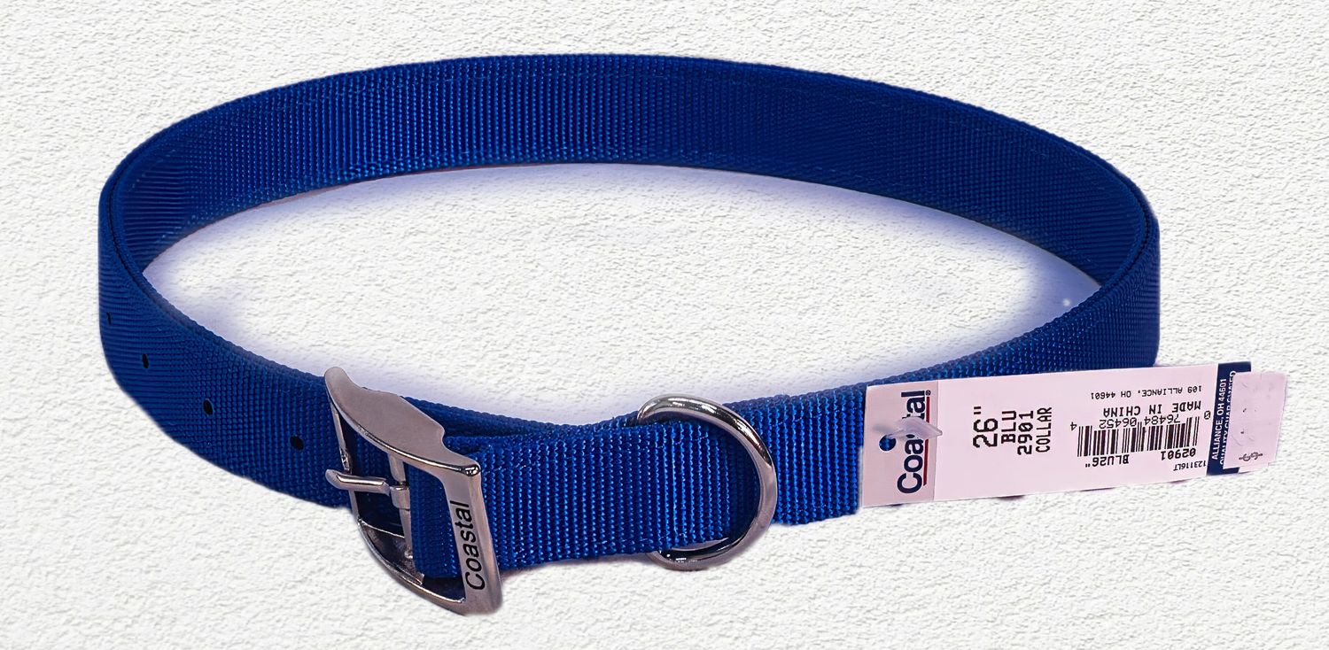 Coastal Nylon Dog Collar 1" - Blue 26