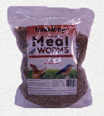 TRADEKING DRIED MEALWORMS  1 - LB
