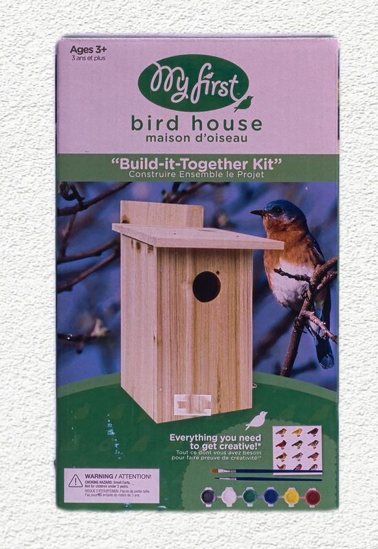 MY FIRST BLUE BIRD HOUSE W/ VIEWING WINDOW DIY KIT