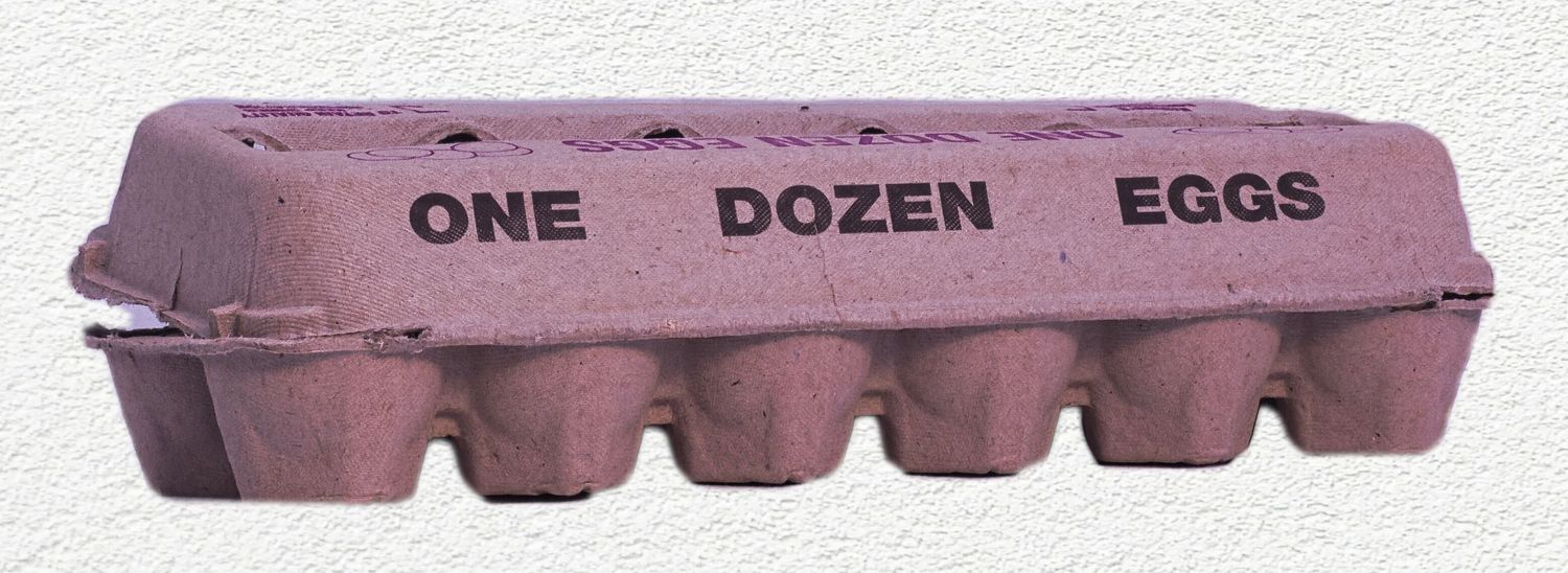 Cardboard Egg Carton - Large