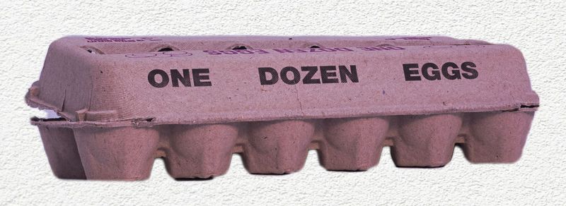 CARDBOARD EGG CARTON - LARGE