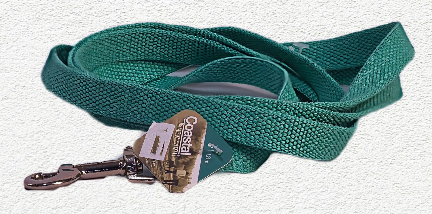 New Earth Soy Dog Leash, Mint, 5/8" x 6'