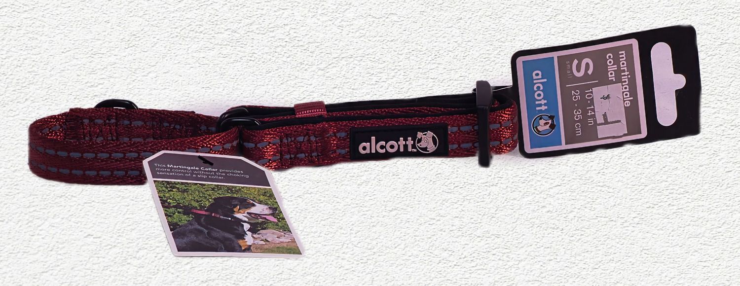 Petsafe Come With Me Kitty Cat Harness & Leash Medium Blue