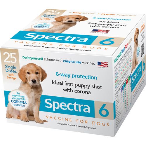 Spectra 6 Injectable Puppy Vaccine - 1 dose syringe (Keep Refrigerated)