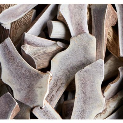 Buck Bone Elk Antler Split - Per Oz