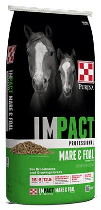 IMPACT PROFESSIONAL MARE FOAL 50 - LB HORSE FEED