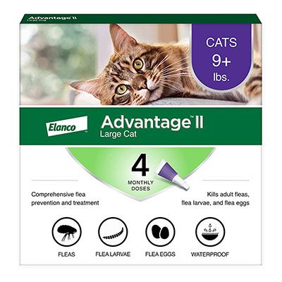 Advantage II Flea Treatment for Cats Over 9 lb (4 Pack)