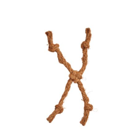 Canophera Cat Toy Coconut Rope Spider Small