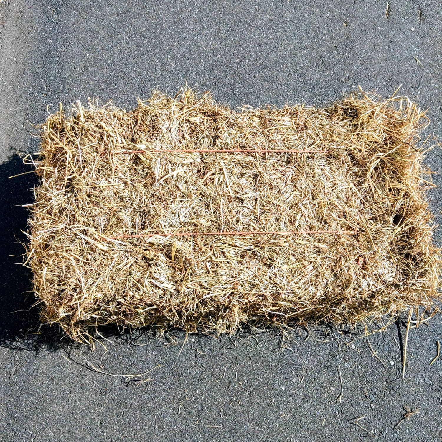 Hay - Keith Fescue Bale