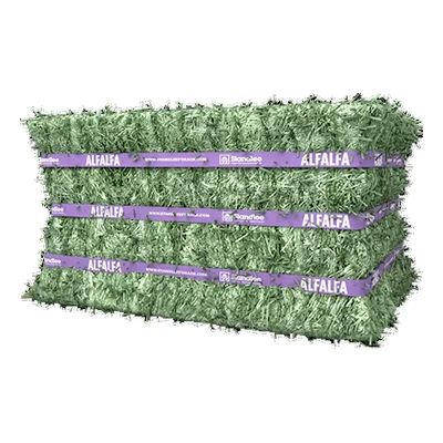 STANDLEE  ALFALFA HAY bale - 50 - LB