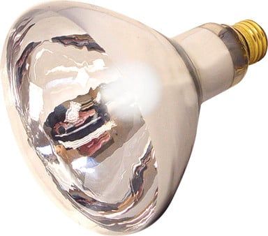 Satco Heat Lamp Indoor Bulb Clear 125W not for chicks