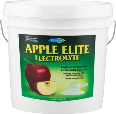 APPLE ELITE ELECTROLYTES POWDER 20 - LB