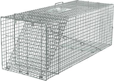 HAVAHART 1 DOOR LIVE ANIMAL TRAP XL STAINLESS STEEL 42"x15"x15"