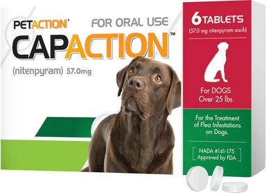CAPACTION FLEA TAB DOG LARGE 25 - LB + Single