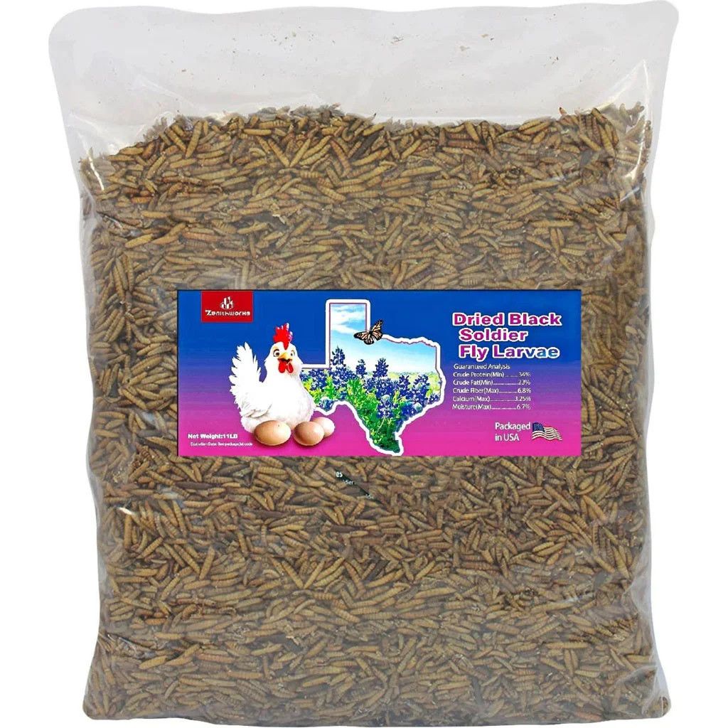 Zenithworks Black Soldier Fly Larvae