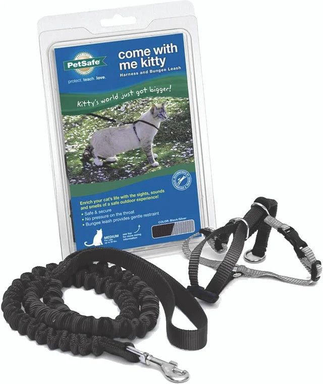 COME WITH ME KITTY CAT HARNESS & BUNGEE LEASH Black Medium