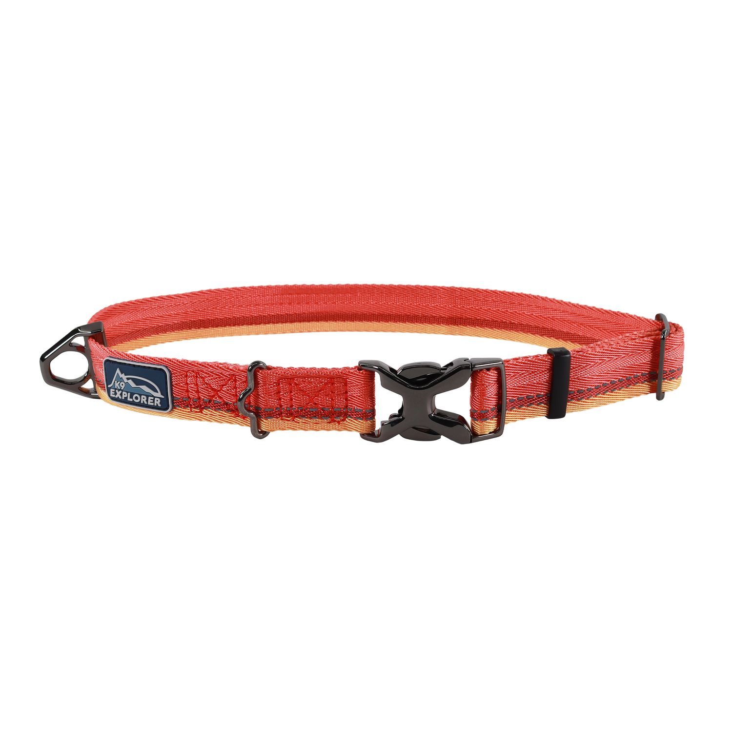 Coastal K9 Explorer® Trek Adjustable Dog Collar, Sahara, Large - 18" - 26"