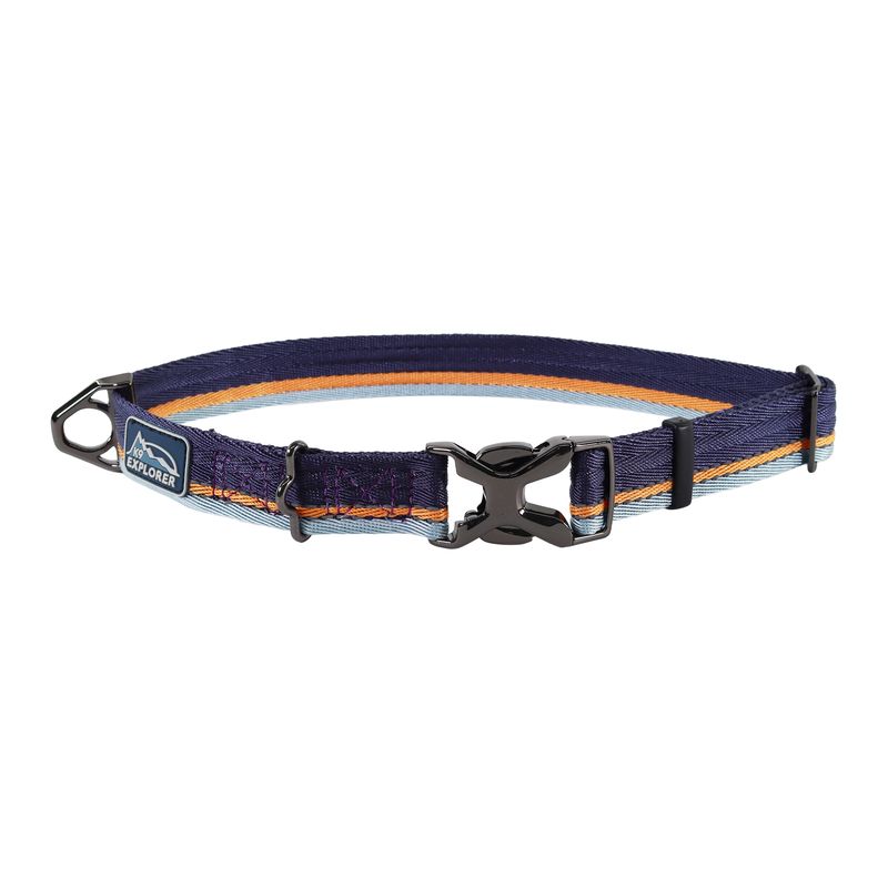 Coastal K9 Explorer® Trek Adjustable Dog Collar, Napa, Large - 18" - 26"