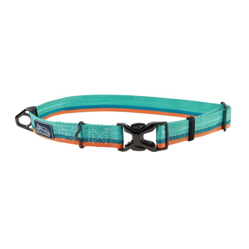 Coastal K9 Explorer® Trek Adjustable Dog Collar, Everglades, Small - 8" - 12"