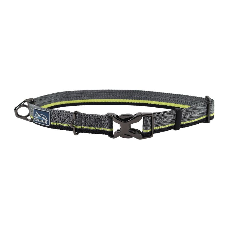 Coastal K9 Explorer® Trek Adjustable Dog Collar, Smokies, Medium - 12" - 18"