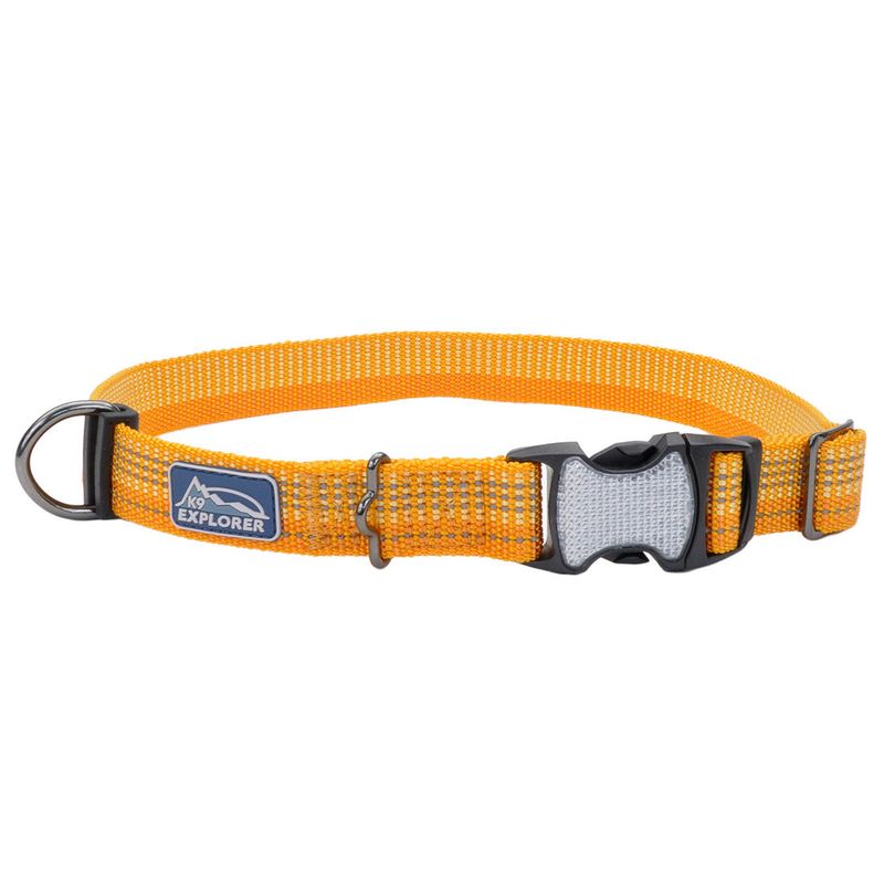 Coastal K9 Explorer® Brights Reflective Adjustable Dog Collar, Desert, Extra Small - 5/8" x 8"-12"