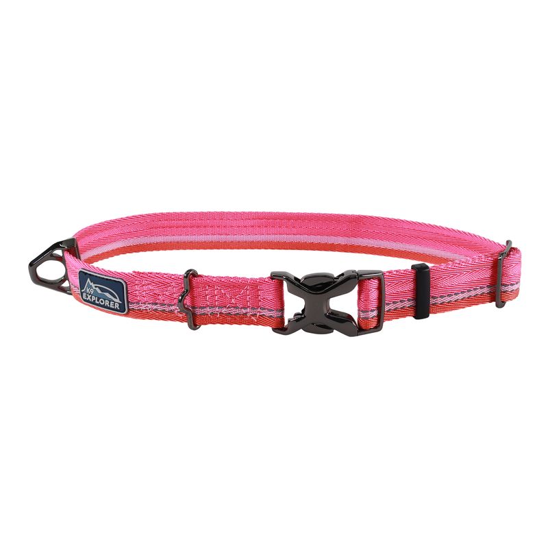 Coastal K9 Explorer® Trek Adjustable Dog Collar, Himalayas, Small - 8" - 12"