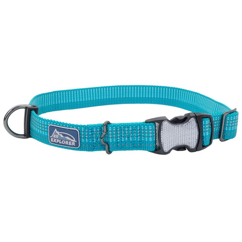 K9 Explorer® Brights Reflective Adjustable Dog Collar, Ocean, Medium - 1" x 12"-18"