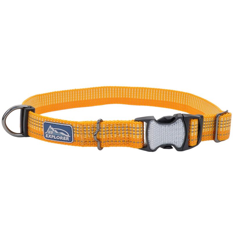 Coastal K9 Explorer® Brights Reflective Adjustable Dog Collar, Desert, Medium - 1" x 12"-18"