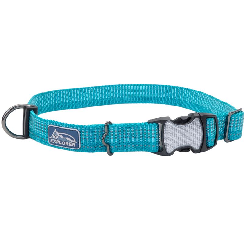 Coastal K9 Explorer® Brights Reflective Adjustable Dog Collar, Ocean, Large - 1" x 18"-26"
