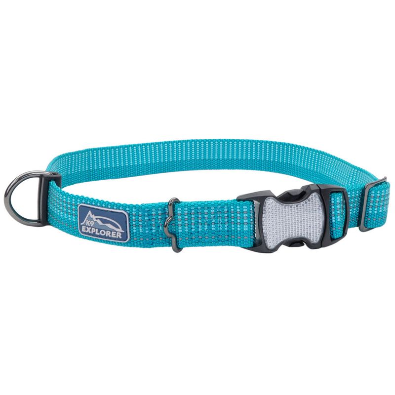 Coastal K9 Explorer® Brights Reflective Adjustable Dog Collar, Ocean, Extra Small - 5/8" x 8"-12"