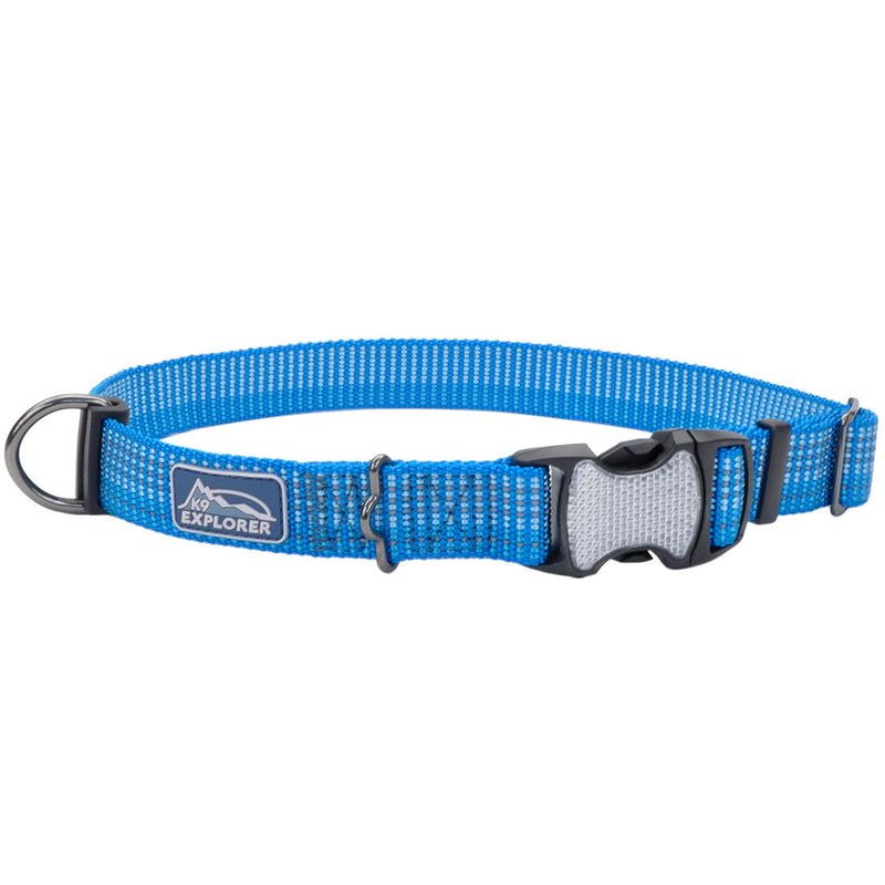 Coastal K9 Explorer® Brights Reflective Adjustable Dog Collar, Lake, Medium - 1" x 12"-18"