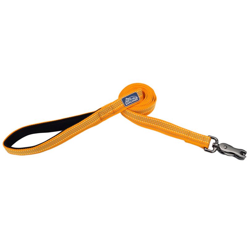 Coastal K9 Explorer® Brights Reflective Dog Leash, Desert, Medium/Large - 1" x 6'
