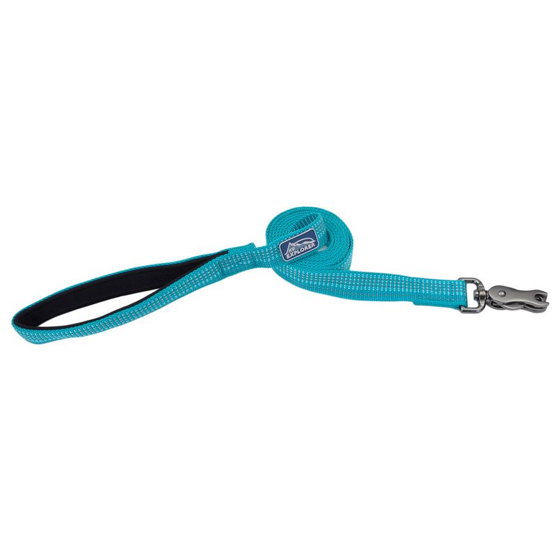 Coastal K9 Explorer® Brights Reflective Dog Leash, Ocean, Medium/Large - 1" x 6'