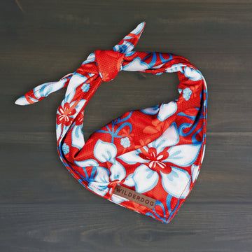 Wilderdog Cooling Bandana - Aloha
