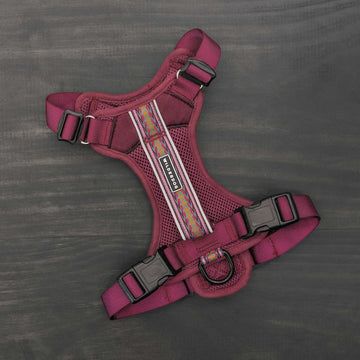 Wilderdog Huckleberry Harness - Large