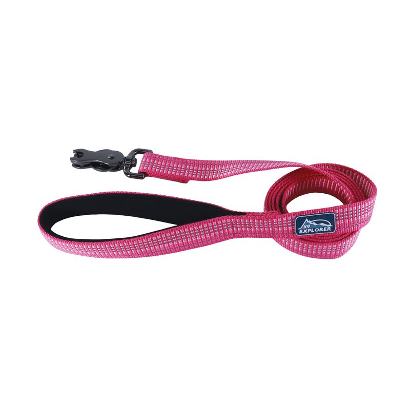 Coastal K9 Explorer® Brights Reflective Dog Leash, Blossom, Medium/Large - 1" x 6'