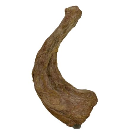 Bones & Co Dog Treat FD Turkey Necks 12 ct