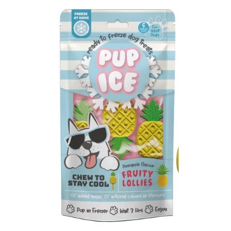 Ethical Dog Treat Pup Ice Fruity Lollies Pineapple 2 Pk