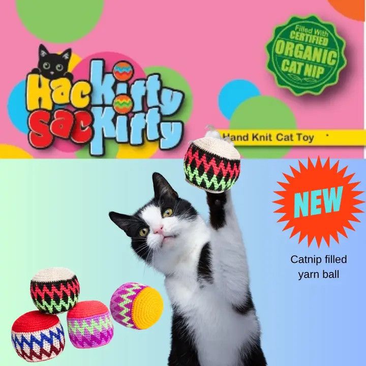 Chilly Dog Hackitty Sackitty Catnip Balls- 1 Pack