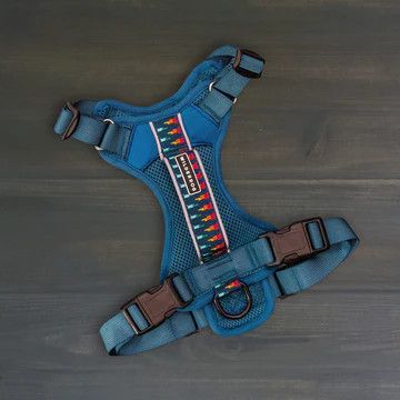 Wilderdog Dog Harness XL / Pacific Blue