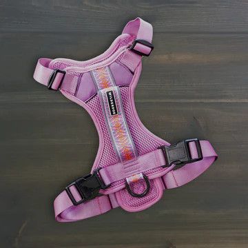 Wilderdog Dog Harness XL / Lilac