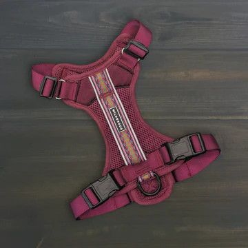 Wilderdog Dog Harness Small / Huckleberry