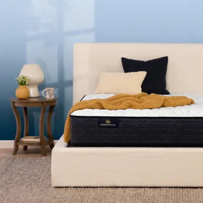 Serta Perfect Sleeper Adoring Night Firm Twin Mattress
Also available as a plush.