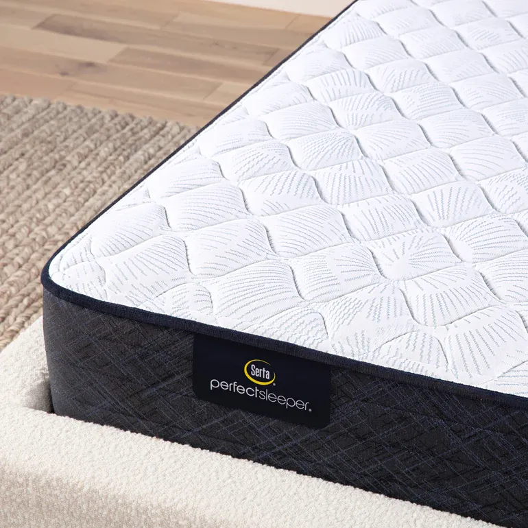 Serta Perfect Sleeper Adoring Night Firm Twin Mattress
Also available as a plush.