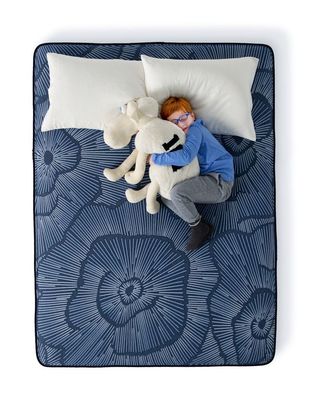 Serta Perfect Sleeper Cobalt Calm Queen Mattress Firm, Plush or Pillow top