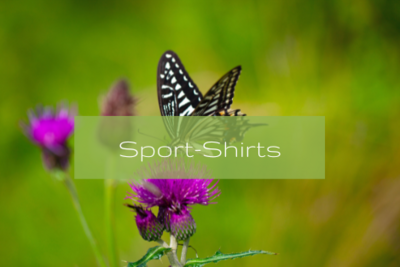 Sport-Shirts