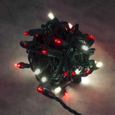 Mini-Lights - Candy Cane - 6&quot; Spacing - 50 Lights - Green Wire