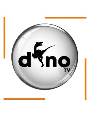 IPTV Dino 12 mois 4K Assistance 7j/24h