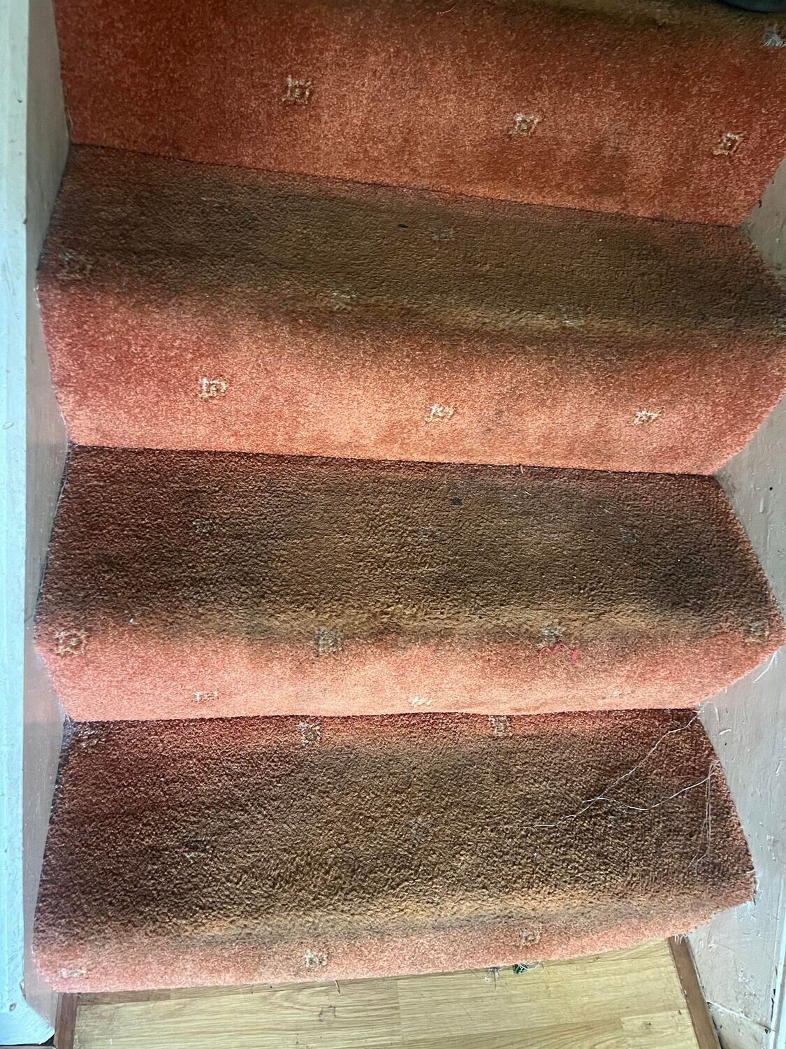 Carpet cleaner