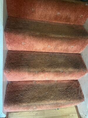 Carpet cleaner
